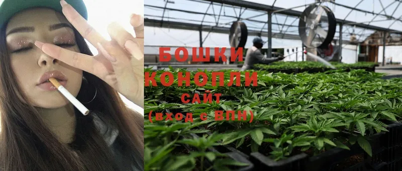 Канабис THC 21%  купить наркотики цена  Котельники 